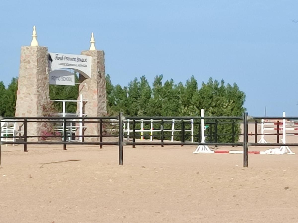 Joynant-Gouna Kite Road-2Room Mangroovy Free Beach Access - Pool View- ฮูร์กาดา ภายนอก รูปภาพ